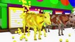 Learn Color Ball Cow Animals W Learn Shapes Cartoon Nursery Rhymes Song For Children