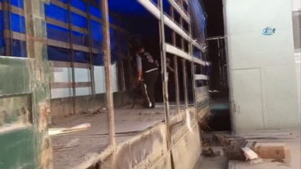 Gümrük muhafaza kaçakçılara nefes aldırmıyor