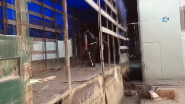 Gümrük muhafaza kaçakçılara nefes aldırmıyor