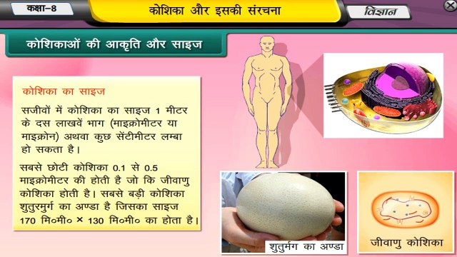 CBSE Class 8 Science Animated Video Lecture : Cell - Structure and Function