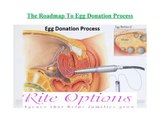 The-Roadmap-To-Egg-Donation-Process