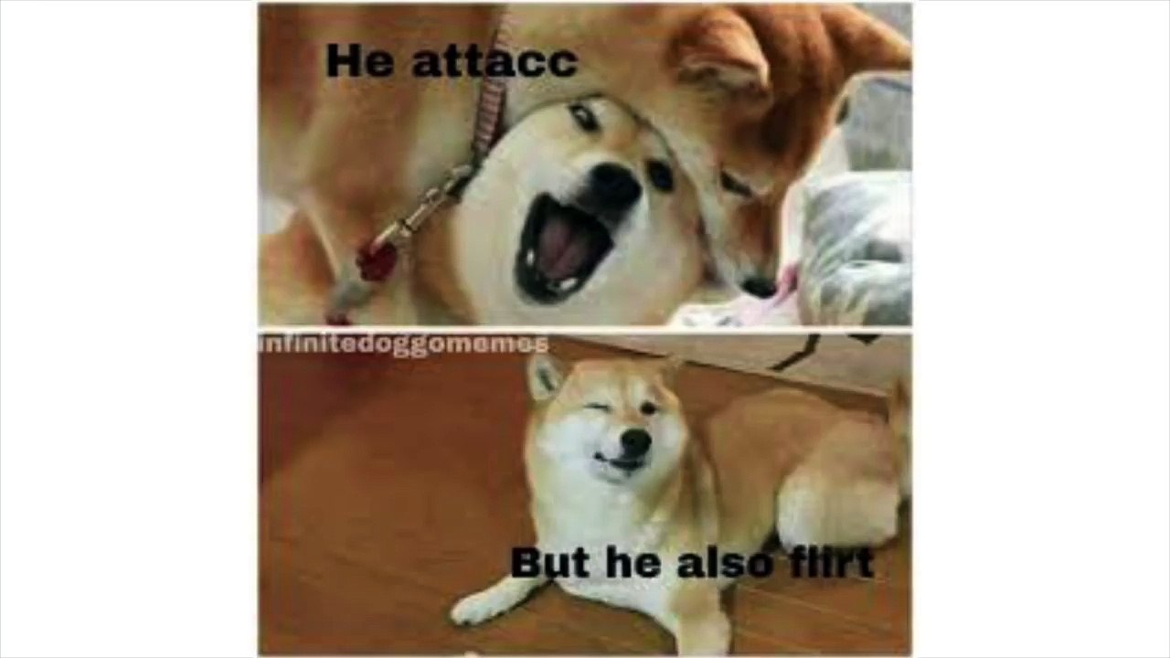 Comment Awards v48