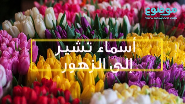 أسماء الزهور