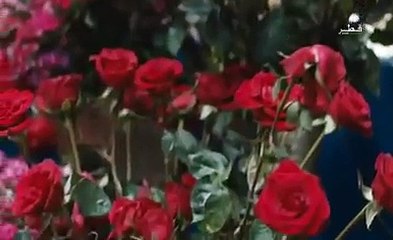 مسلسل القبضاي الجزء الثاني حلقة 84 HD مدبلج