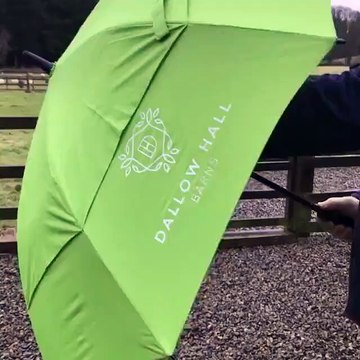Branded Umbrellas