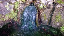 A Review of Catherine's Landing RV Park - Hot Springs - Garvan Gardens