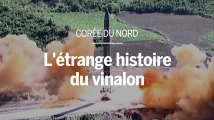 Des vêtements aux missiles de croisière, l’étrange histoire du vinalon, un tissu synthétique nord-coréen