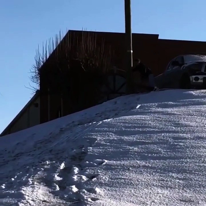 Un homme tombe sur un obstacle pendant sa descente en luge