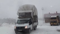 Tokat-Sivas Karayolunda Kar Yağışı ve Tipi Etkili Oluyor
