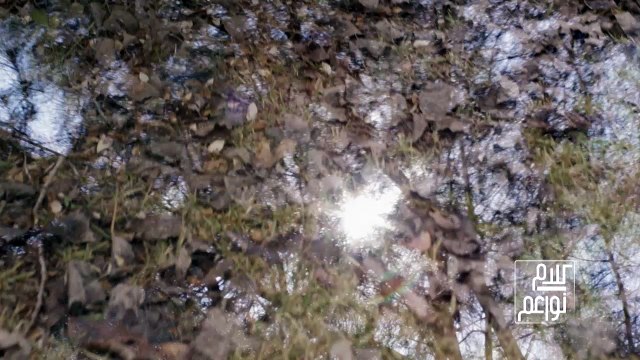 برأيك ما هي أهم هواية للمرأة؟ هل هي ثقافية، ترفيهية، رياضية، أم علمية؟