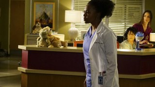 Grey's Anatomy Season 14 Episode 11 [014x011] Streaming