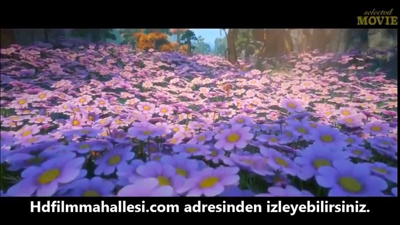 Ayı Kardeşler Fantastik Dünyalar izle 2018 HD Fragman