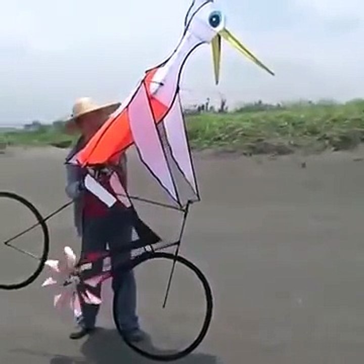 NEW CYCLE KITE IN THE AIR