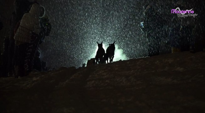 Maurienne Reportage # 110 La Grande Odyssée Savoie Mont Blanc 2018