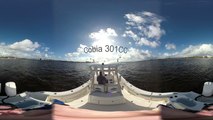 360-degree Video: Cobia 301 CC
