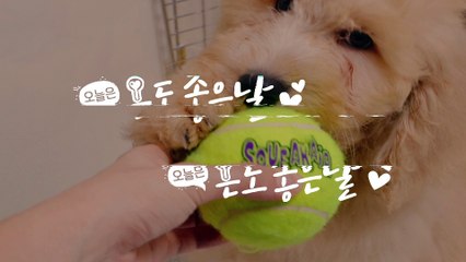 This Cute Cat is Drinking Water Specially!!!