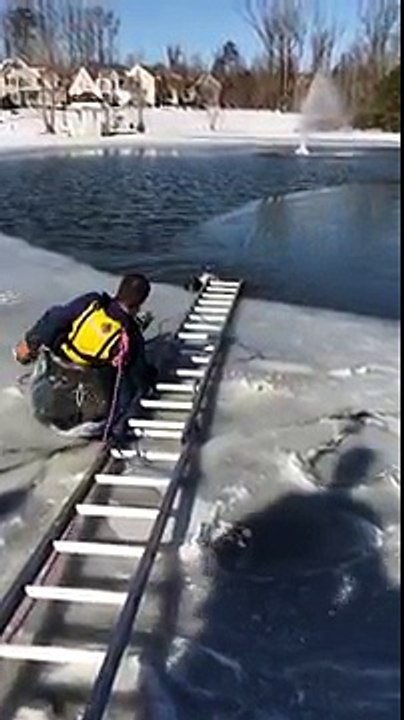 Sauvetage d'un chien dans un étang gelé