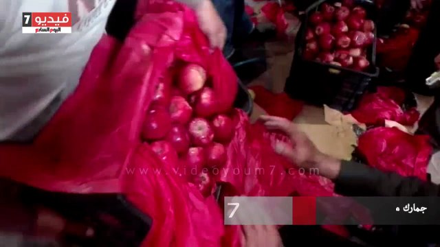 جمارك ميناء دمياط تحبط تهريب شحنة حشيش داخل حاوية تفاح قادمة من لبنان