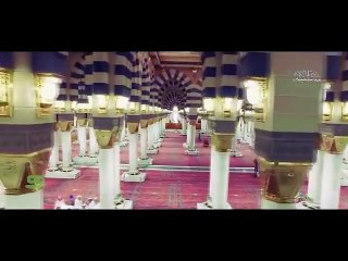 Har Shaks ki Gardan pay hai Ahsaan-e-Muhammad S.A.W.W. #Tribut...