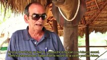 Documental sobre la vaca cubana Ubre Blanca