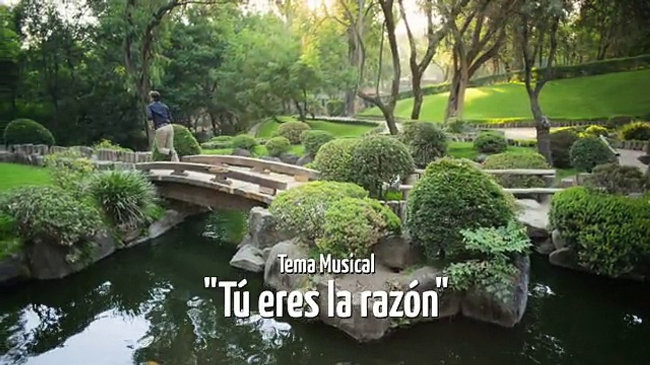 Capitulo 28