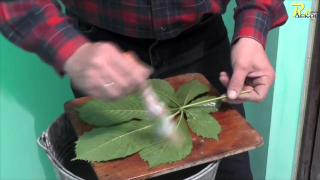 Декоративная Штукатурка Из Обычной Шпаклёвки. Листья. Нанесение Декоративной Штукатурки.