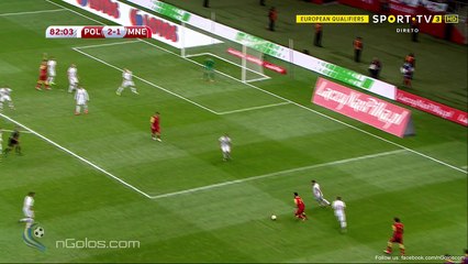 Nikola Vukcevic Goal vs Poland (2-2)