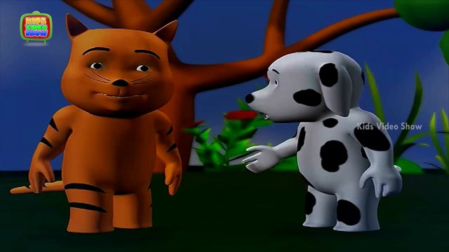 Interesting Facts About Birds Why Are Peacock Feathers So Beautiful Peacock Facts