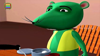 Interesting Facts About Eggs   Why Are Eggs Oval   Kids Video Show