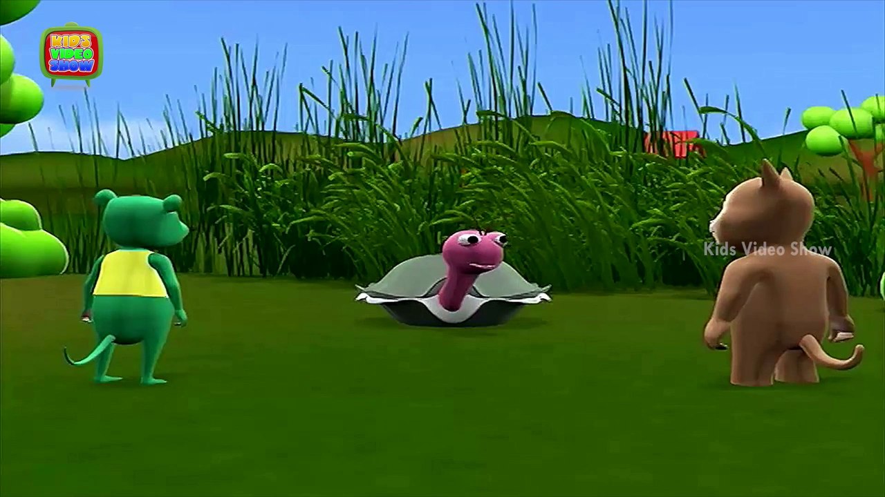 Interesting Trees Facts Why Do Trees Have Roots Kidsvideoshow Video