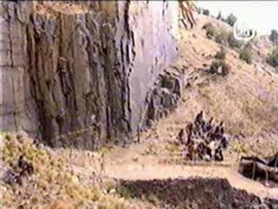 Osama bin laden diving