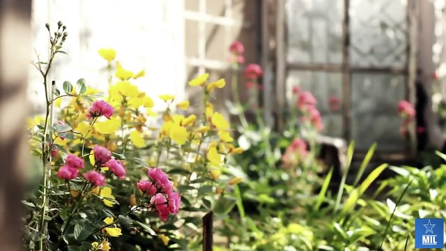 Little Girl Bursts Into Tears Seeing Her Soldier Dad In a Surprise Reunion!