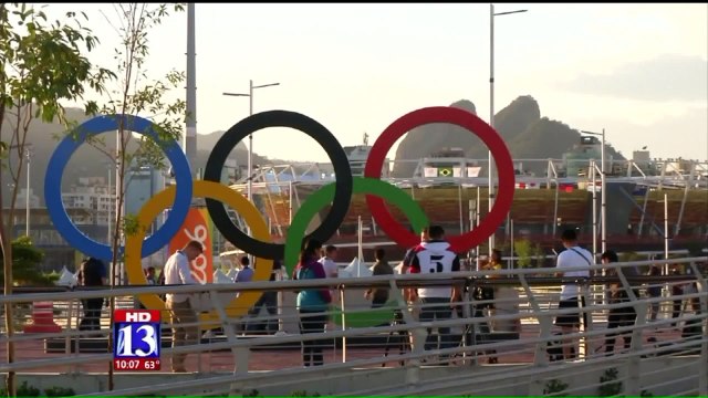 Scientists Detail Surprising Findings of Zika Virus Study Conducted During Olympic Games