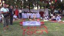 Şanlıurfa 'İsot Festivali'nde Çiğ Köfte Ustaları Yarıştı