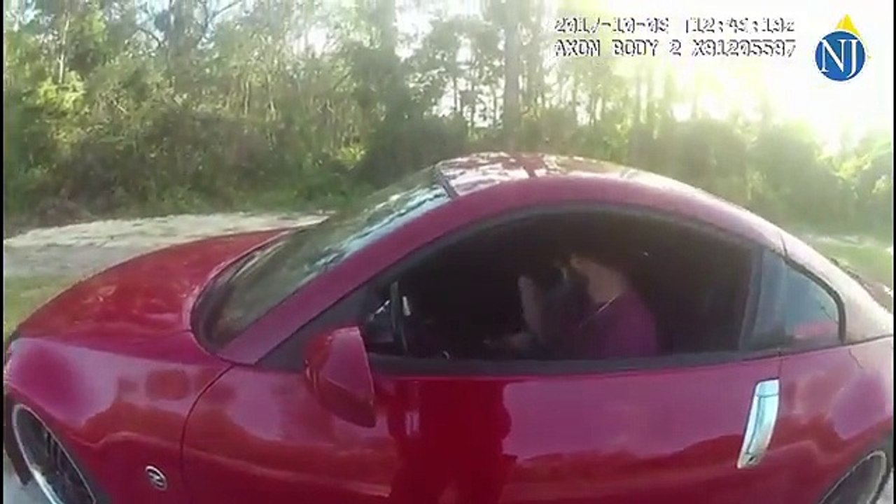 Passing motorists help Flagler deputy subdue resisting suspect