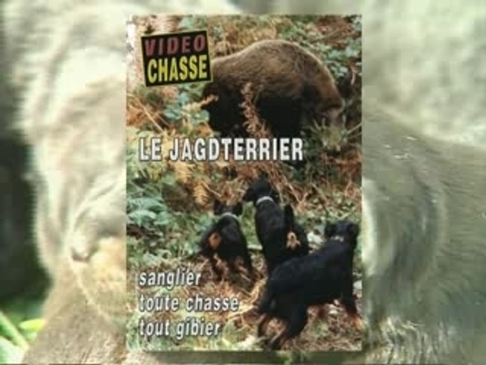 Le jagdterrier