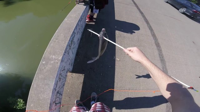 Il peche à l'arc et touche un poisson à plus de 30m... incroyable