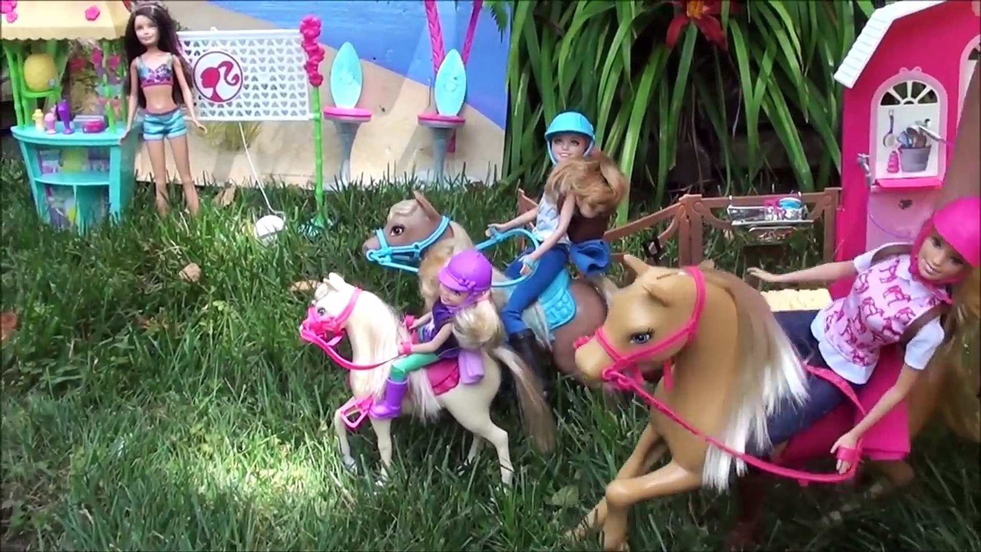 barbie pink passport ranch set