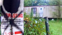 Two Foreclosed abandoned mobile homes (Hudson, FL)