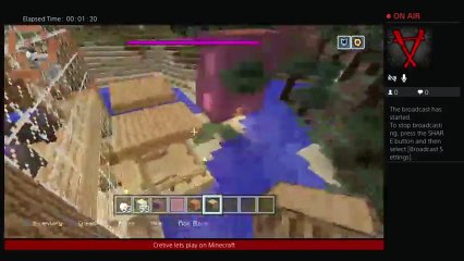 Minecraft with freinds (15)
