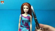 Barbie Poppy Dönüşümü - Kendin Yap Barbie Saç Yapımı - Oyuncak Yap