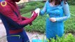 Joker steal MAGIC WAND transform Spiderman prank Elsa transform Doctor prank Captain Superhero funny