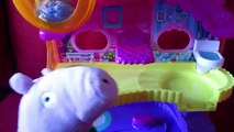 ❤¡Peppa Pig y George enamorados!❤ La obra de teatro | Videos de Peppa Pig con pizarra mágica