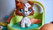 LPS: Love Hurts - Episode 8 Making Deals With The Devil