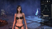 Elder Scrolls Online -- Wood Elf Female - Charer Creation