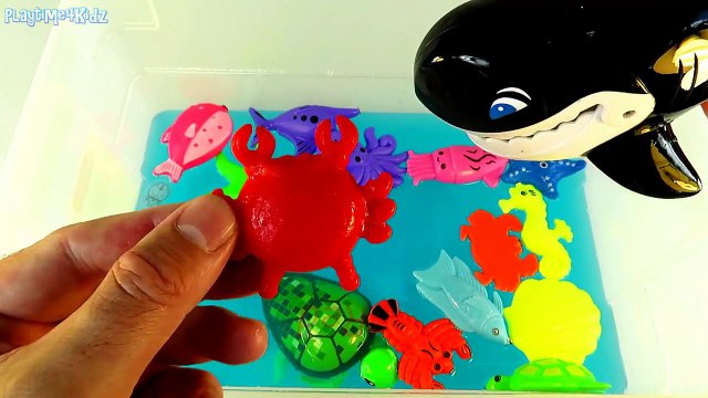Learning Sea Animal Names Learn Colors Fish Fun Toys For Kids Toddlers Babies Kindergarten Children