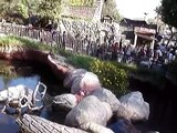 Splash Mountain Breaks Down at Disneyland part 2