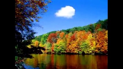 Discover Daoism and the Meaning of Yin and Yang 🌿