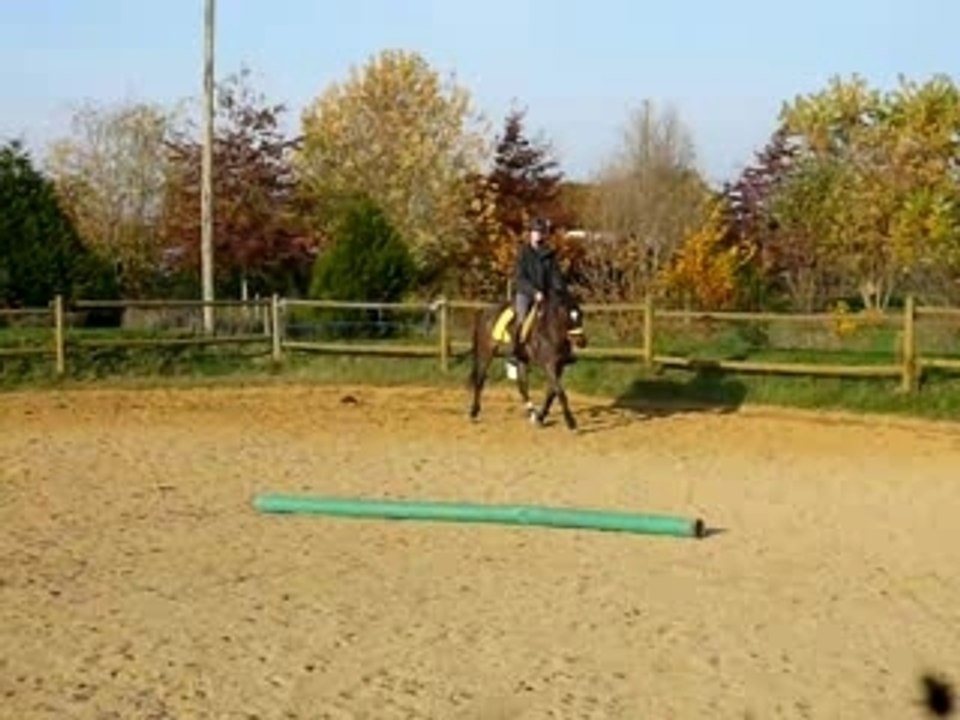 Bako et moi