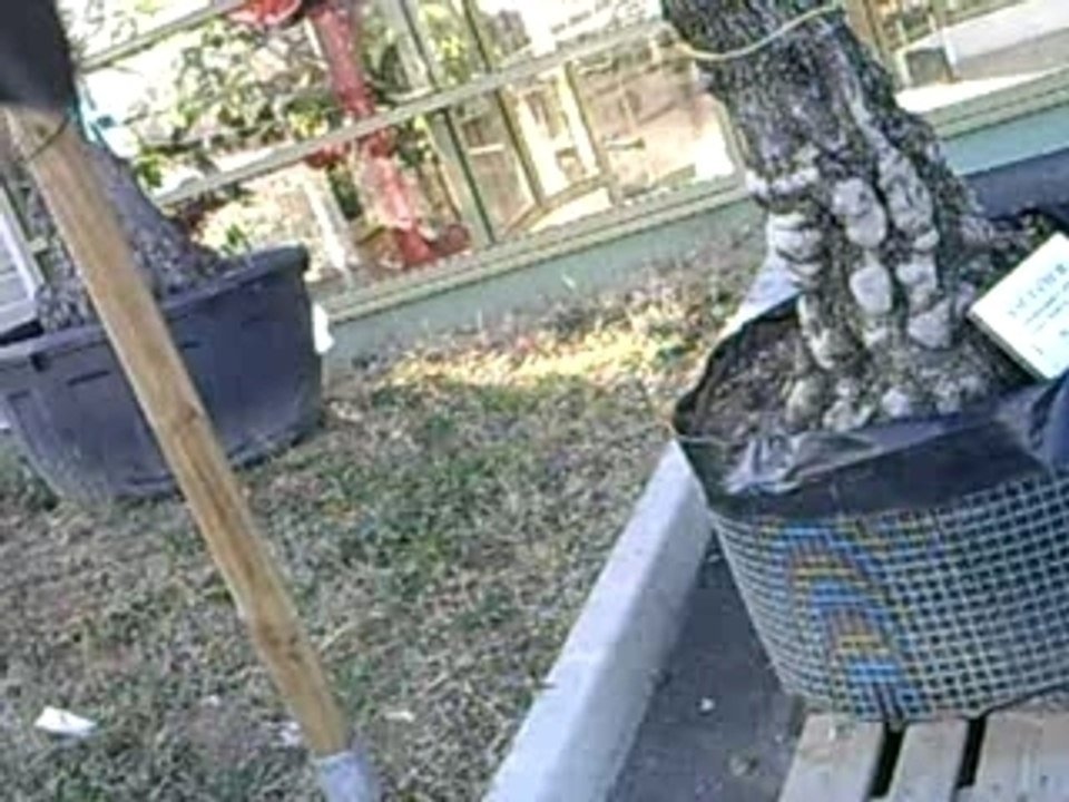 camera embarqué derbi drd 70cc metrakit sp